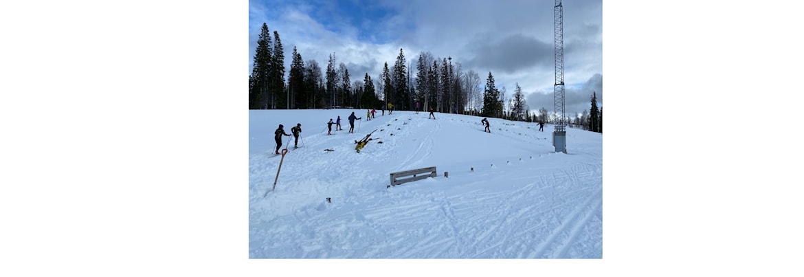 Skileik og skitrening